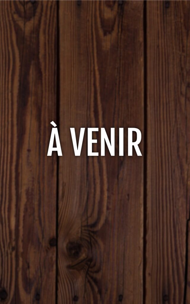 BookBrushImage-2025-12-2-16-546