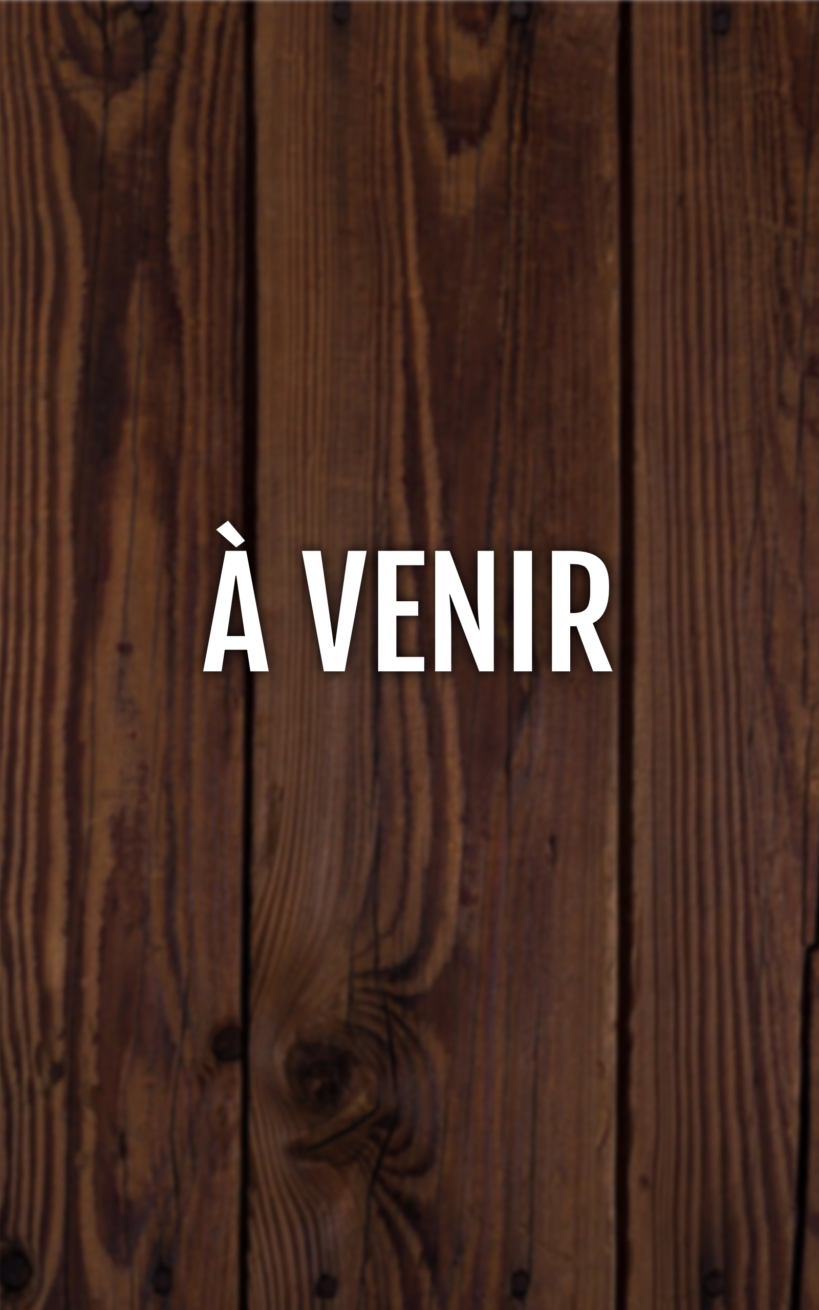 BookBrushImage-2025-12-2-16-546