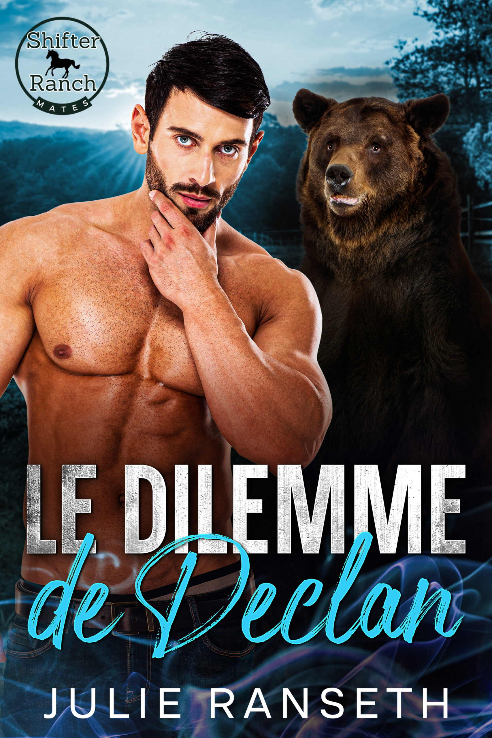 Declan's Dilemma french